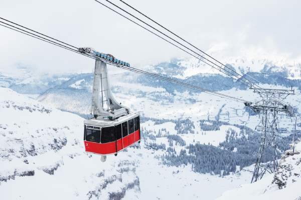 Activities offerd by Tree House luxury vacations Pvt. Ltd.