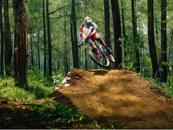 Activities offerd by Tree House luxury vacations Pvt. Ltd.